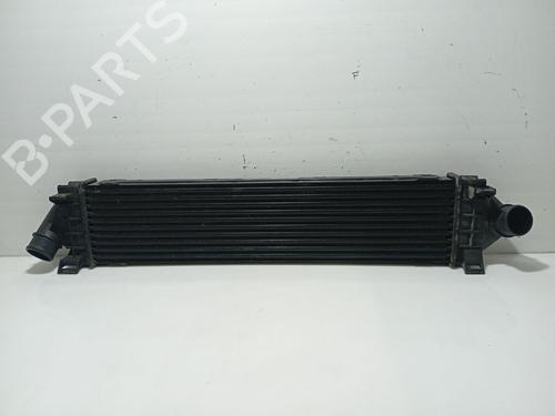 Intercooler FORD MONDEO IV Saloon (BA7) [2007-2015]  31104310