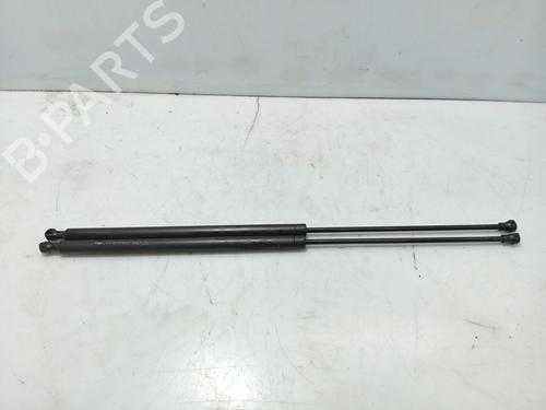 tailgate-lift-support-citroen-xsara-picasso-n68-1999-2000-2001-2002-2003-2004-2005-2006-2007-2008-2009-2010-2011-2012-31131476 main image