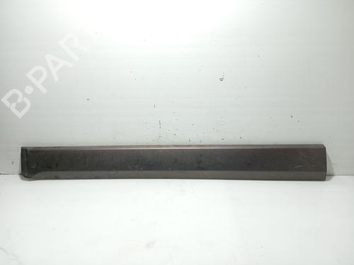 Türzierleiste für OPEL ANTARA A (L07) [2006-2017]  31109256