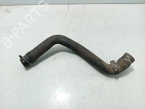 Used Pipe RENAULT CLIO III (BR0/1, CR0/1) [2005-2014]  31110341