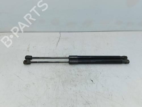 tailgate-lift-support-renault-megane-iii-hatchback-bz01_-b3_-2008-32686685 main image