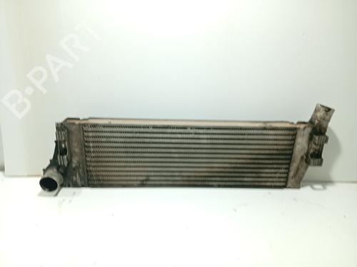 Ladeluftkühler für RENAULT MEGANE II (BM0/1_, CM0/1_) 1.9 dCi (BM0G, CM0G) (120 hp) 31106410