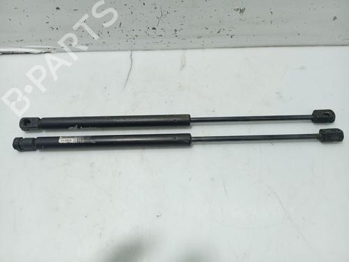 Used Tailgate lift support RENAULT MEGANE III Hatchback (BZ0/1_, B3_) 1.6 16V (111 hp) 31099867