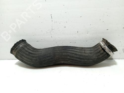 Tuyau OPEL ANTARA A (L07) [2006-2017]  31109432