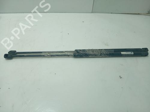 Amortecedor da mala CITROËN XSARA PICASSO (N68) 1.6 HDi (90 hp) 31102111