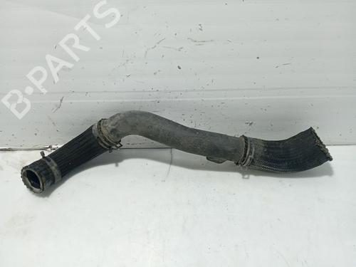 Used Pipe KIA CARENS III MPV (UN) 2.0 CRDi 115 (115 hp) 31109039