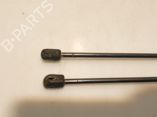 Tailgate lift support CITROËN C3 I (FC_, FN_) 1.4 HDi | BP31112053C138