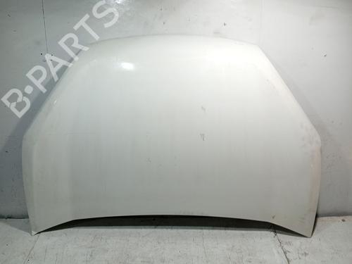 hood-fiat-doblo-cargo-263_-2010-39200208 main image