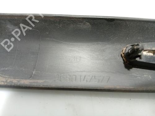 Door moulding trim PEUGEOT 207 (WA_, WC_) 1.4 HDi | BP31102318C150