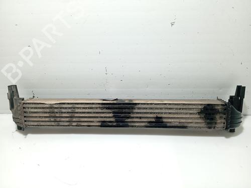 Intercooler SEAT IBIZA IV (6J5, 6P1) 1.2 TDI | BP31106601M30
