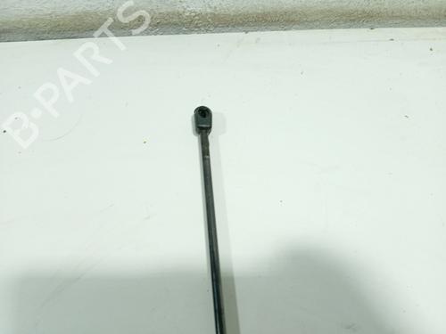 Tailgate lift support NISSAN ALMERA II Hatchback (N16) 1.5 dCi | BP31105922C138 