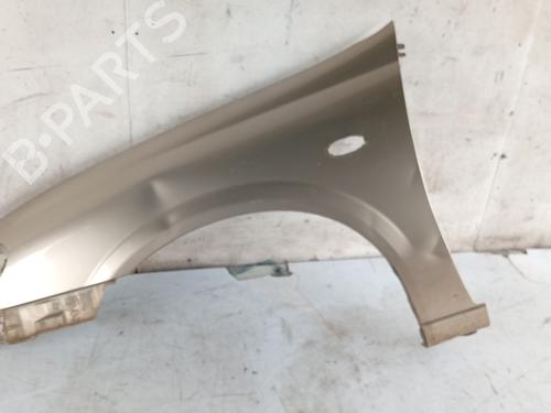 Guarda-lamas esquerdo Guarda-lamas esquerdo NISSAN ALMERA II Hatchback (N16) [2000-2026] 36774107 36774107