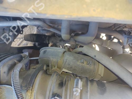 Used Pipe NISSAN ALMERA II Hatchback (N16) 1.5 dCi (82 hp) 24630449