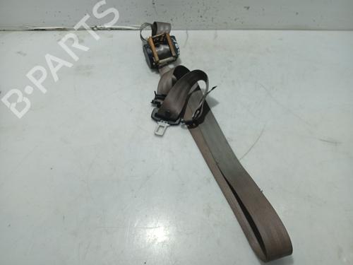 BP31106812I29 main image