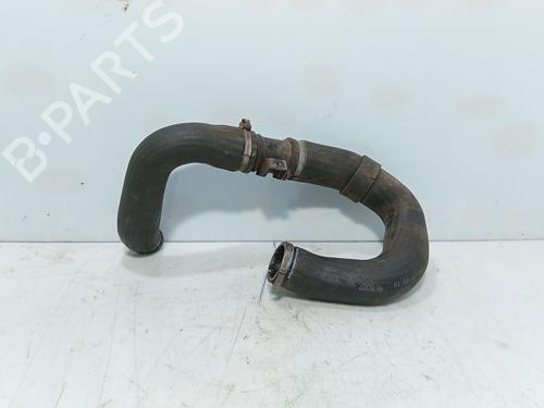 Rohr für Rohr FIAT BRAVO II (198_) 1.6 D Multijet (198AXH1B) (105 hp) 36352743 36352743