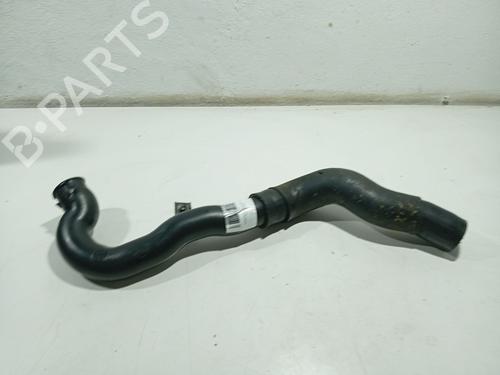 Used Pipe NISSAN ALMERA II Hatchback (N16) 1.5 dCi (82 hp) 31106046