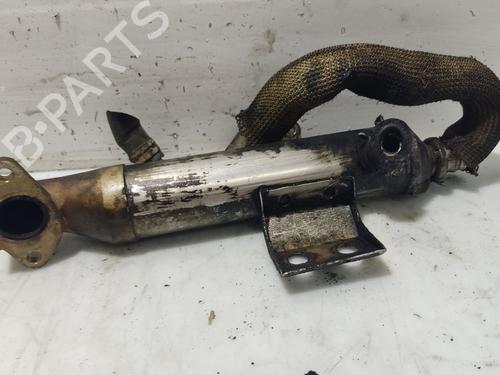 Egr FORD FOCUS I Turnier (DNW) | BP31105365M69