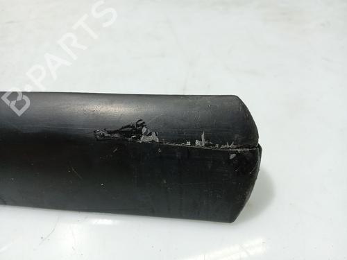 Door moulding trim PEUGEOT 207 (WA_, WC_) 1.4 HDi | BP31102316C150