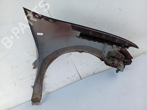 Left front fenders DACIA SANDERO II 1.5 dCi | BP31108604C41 