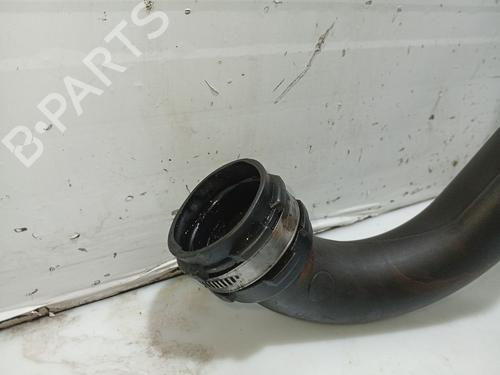 Pipe RENAULT MEGANE I (BA0/1_) 1.9 dCi (BA05, BA1F) | BP31109307M125