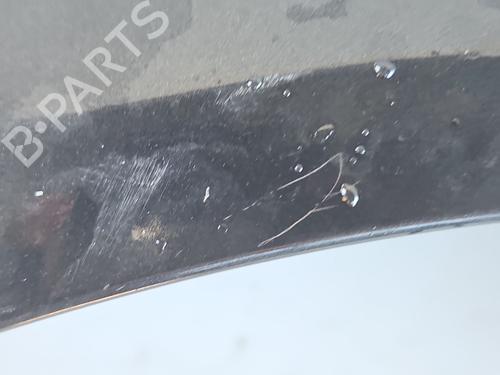 Left front fenders RENAULT MEGANE II Saloon (LM0/1_)  | BP31109261C41 