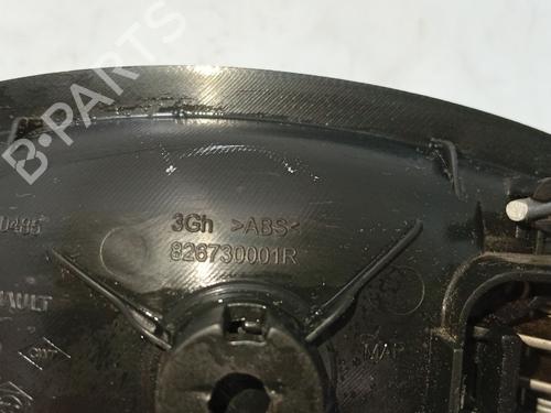 Rear left interior door handle RENAULT GRAND SCÉNIC III (JZ0/1_) 1.9 dCi (JZ0J, JZ0N, JZ1K, JZ1S) | BP31106626I15 