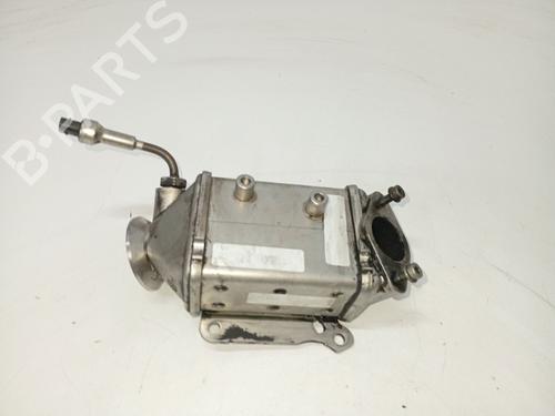 Used Egr FIAT FIORINO Box Body/MPV (265_) [2013-2025]  31105612