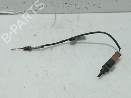 Elektronisk sensor PEUGEOT 207 SW (WK_) 1.6 HDi (92 hp) 31109402
