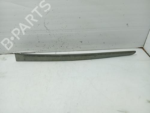 Friso da porta RENAULT LAGUNA II Grandtour (KG0/1_) [2001-2007]  31108830