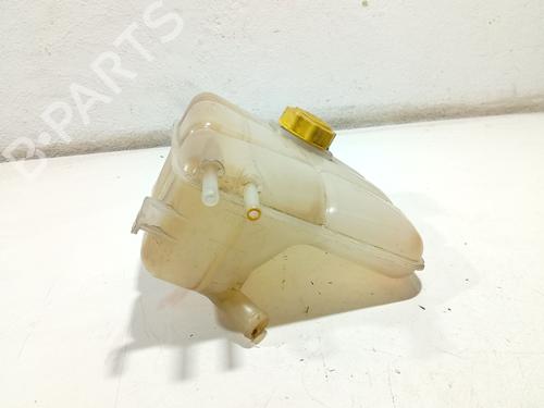 Expansion tank FORD TRANSIT CONNECT (P65_, P70_, P80_) 1.8 TDCi | BP31106175C120 
