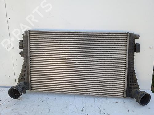 Used Water radiator VW GOLF V (1K1) 1.9 TDI (105 hp) 19009662