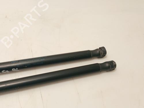 Tailgate lift support CITROËN C3 I (FC_, FN_) 1.4 HDi | BP31112053C138