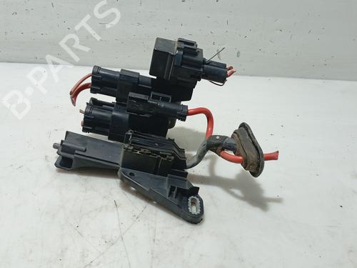 Elektronisk modul BMW 1 (F20) 116 d (116 hp) 31190078