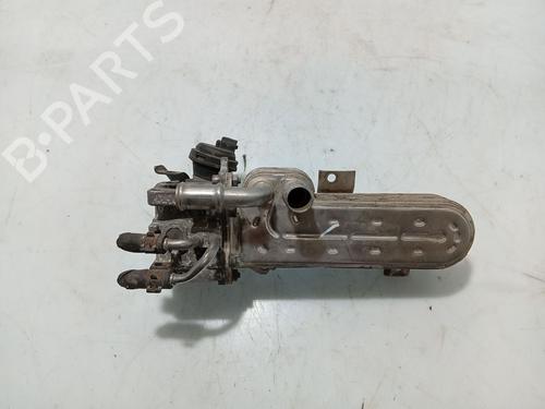 Egr für VW PASSAT B6 (3C2) 1.9 TDI (105 hp) 31110654