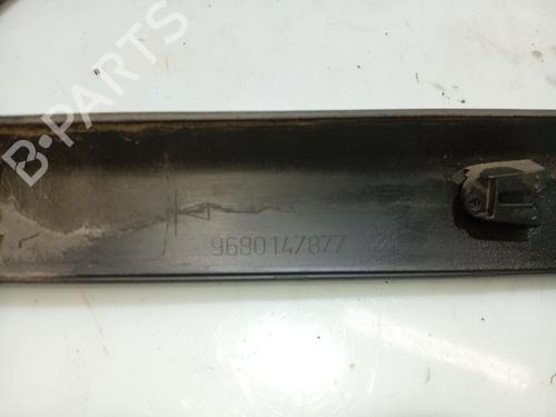 Door moulding trim PEUGEOT 207 (WA_, WC_) 1.4 HDi | BP31102315C150