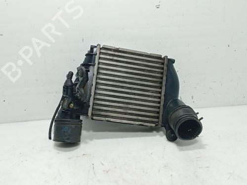 Used Intercooler Intercooler SKODA OCTAVIA I (1U2) 1.9 TDI (90 hp) 34520524 34520524