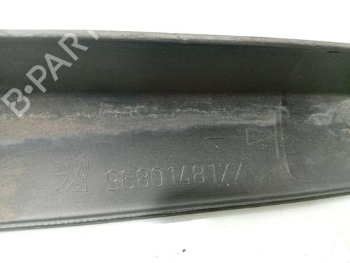 Door moulding trim PEUGEOT 207 (WA_, WC_) 1.4 HDi | BP31102316C150