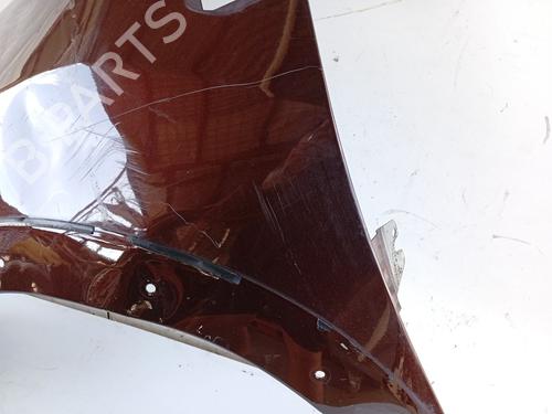 Left front fenders DACIA SANDERO II 1.5 dCi | BP31108604C41 