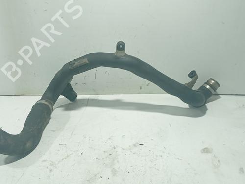 Rør AUDI A3 (8P1) 1.9 TDI (105 hp) 31184096