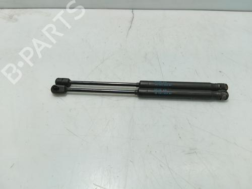 tailgate-lift-support-peugeot-407-6d_-2004-2005-2006-2007-2008-2009-2010-2011-32026366 main image