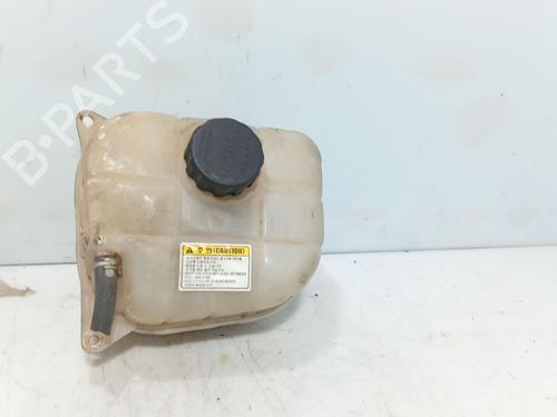 Used Expansion tank Expansion tank SSANGYONG REXTON / REXTON II (GAB_) 2.7 Xdi (165 hp) 40064684 40064684