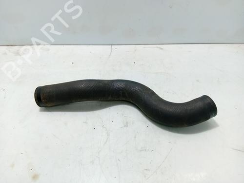 Used Pipe RENAULT CLIO III (BR0/1, CR0/1) [2005-2014]  31110305