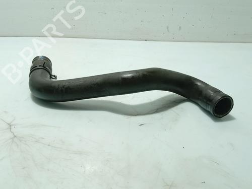 Used Pipe RENAULT CLIO II (BB_, CB_) 1.5 dCi (B/CB08) (82 hp) 31106097