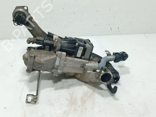 Used Egr Egr CITROËN C3 II (SC_) 1.4 HDi 70 (SC8HZC, SC8HR0, SC8HP4) (68 hp) 34720016 34720016