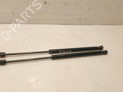 Tailgate lift support CITROËN C3 I (FC_, FN_) 1.4 HDi | BP31112053C138
