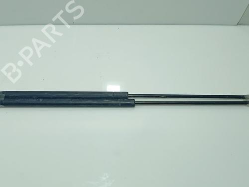 hood-lift-support-peugeot-306-hatchback-7a-7c-n3-n5-1993-1994-1995-1996-1997-1998-1999-2000-2001-2002-2003-31099843 main image