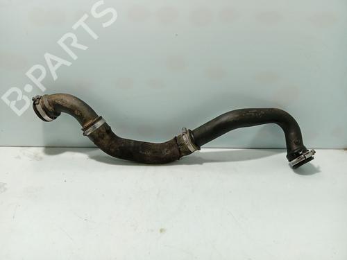 Used Pipe RENAULT CLIO II (BB_, CB_) 1.5 dCi (B/CB08) (82 hp) 31184097