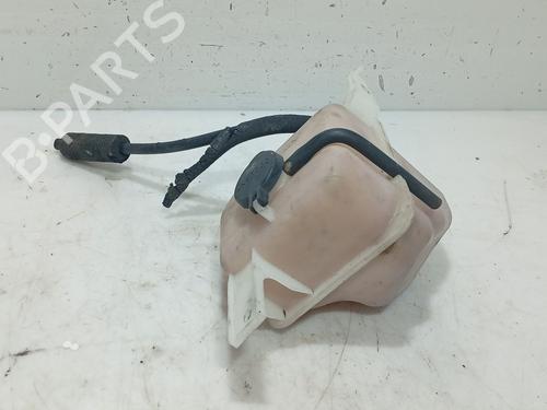 Used Expansion tank Expansion tank HYUNDAI SONATA V (NF) 2.0 CRDi (140 hp) 36675272 36675272
