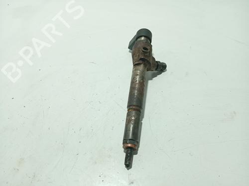 Spreder / Dyse RENAULT SCÉNIC II (JM0/1_) 1.5 dCi (JM1E, JM16) (106 hp) 31105860