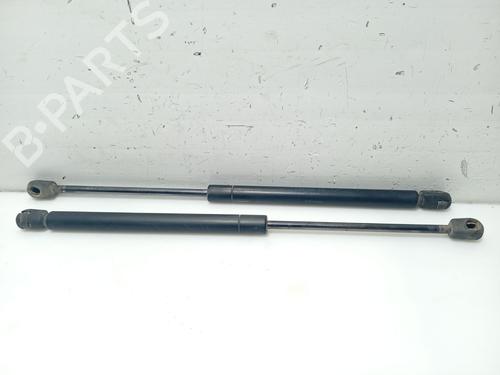 Used Tailgate lift support RENAULT CLIO II (BB_, CB_) 1.5 dCi (B/CB07) (65 hp) 31101876